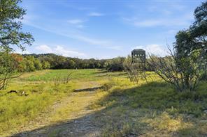 3035 County Road 162 - Photo 30