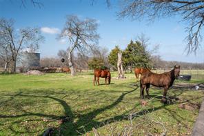 3998 County Road 2706 - Photo 27