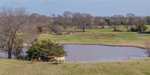 3998 County Road 2706 - Photo 29
