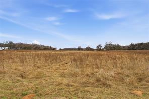 TBD Lot 4 Mary Ware Drive - Photo 5