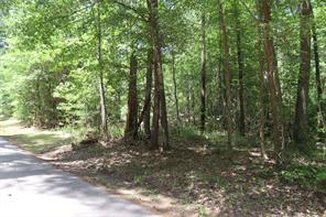 Tbd private road 8565 - Photo 10