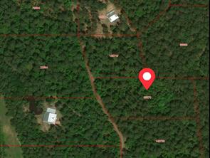 Tbd private road 8565 - Photo 2