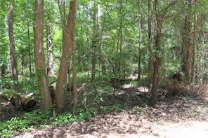 Tbd private road 8565 - Photo 5