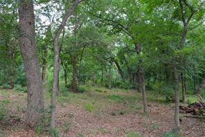 1200 Shannon Lane - Photo 5