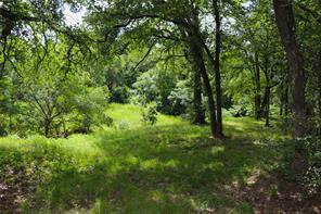 1200 Shannon Lane - Photo 8
