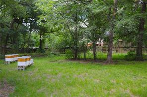 1200 Shannon Lane - Photo 9