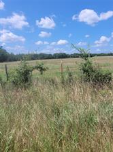 2441 County Road 3512 - Photo 3