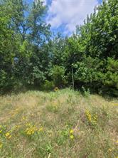 2441 County Road 3512 - Photo 5