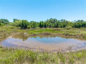 3800 County Road 112 - Photo 7