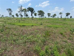 Lot 230 Waterfront Club Drive - Photo 11