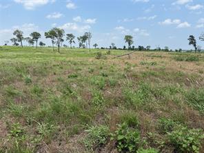 Lot 230 Waterfront Club Drive - Photo 17