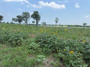 Lot 230 Waterfront Club Drive - Photo 22