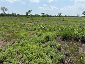 Lot 230 Waterfront Club Drive - Photo 25
