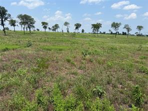 Lot 230 Waterfront Club Drive - Photo 4