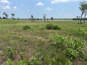 Lot 230 Waterfront Club Drive - Photo 6