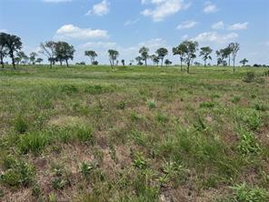 Lot 230 Waterfront Club Drive - Photo 9