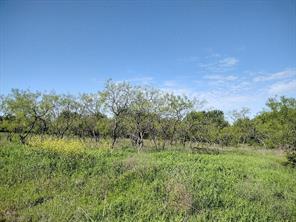 4007 Vista Oak - Photo 2