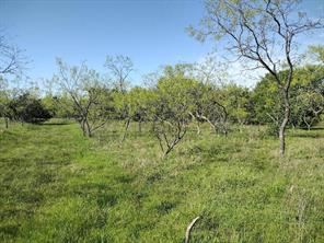 4007 Vista Oak - Photo 3