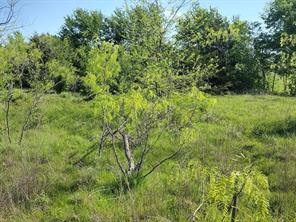 4007 Vista Oak - Photo 4