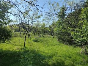 4007 Vista Oak - Photo 5