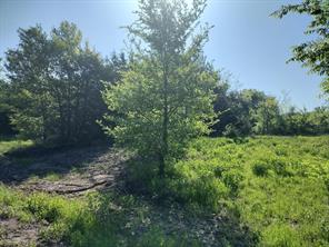 4007 Vista Oak - Photo 7