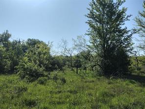 4007 Vista Oak - Photo 9