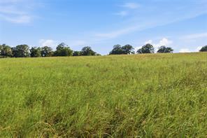 5615 N FM 51 - Photo 5