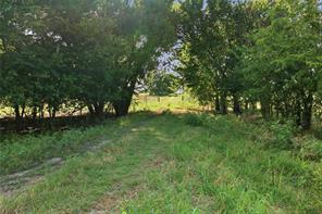 5615 N FM 51 - Photo 6