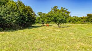 3749 N Fm 51 - Photo 3