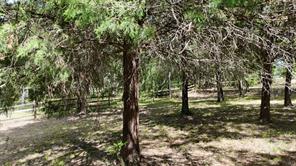 Lot 81 Appomattox - Photo 19