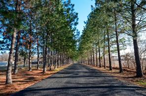 Lot 81 Appomattox - Photo 31
