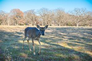 Lot 81 Appomattox - Photo 32