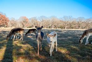 Lot 81 Appomattox - Photo 34