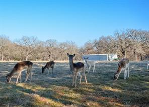 Lot 81 Appomattox - Photo 35