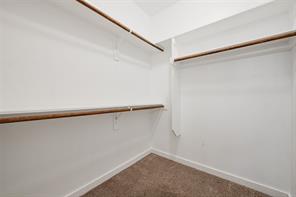 2320 Chebi Lane - Photo 20