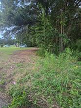 TBD W Hwy 49 - Photo 1