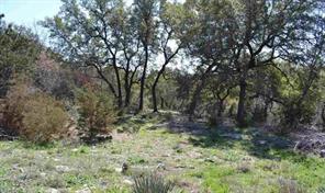 9217 Troll Hollow - Photo 11