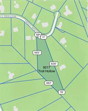 9217 Troll Hollow - Photo 4