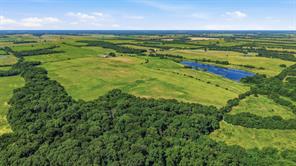 976 County Road 4070 - Photo 26