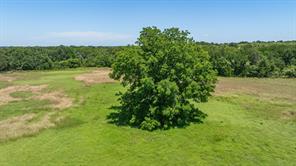 TBD Tr 3 CR 164 - Photo 21