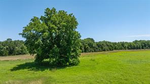 TBD Tr 3 CR 164 - Photo 22