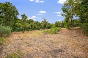 TBD Burke Road - Photo 20