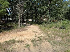 0 Mohican Trail - Photo 5