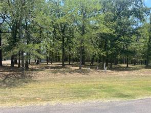 146 St Andrews Drive - Photo 2