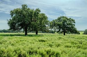 001 W Pleasant Valley Road - Photo 1