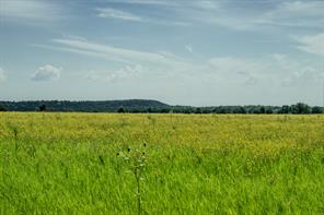 001 W Pleasant Valley Road - Photo 10