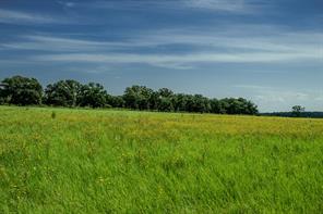 001 W Pleasant Valley Road - Photo 11