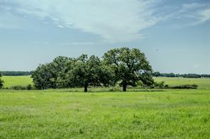 001 W Pleasant Valley Road - Photo 14
