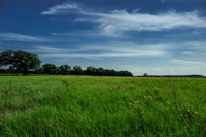 001 W Pleasant Valley Road - Photo 15