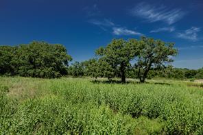 001 W Pleasant Valley Road - Photo 2